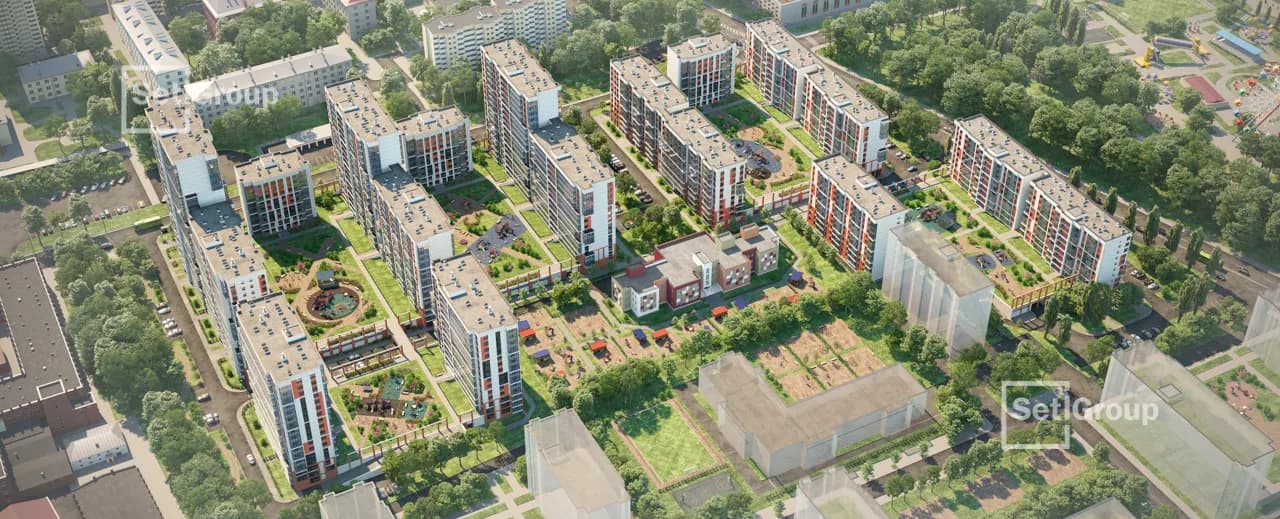 Стрижи в Невском, фото 2